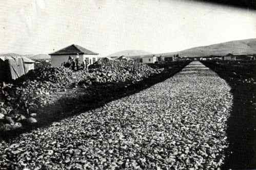 afula construction de la route principale par les pionniers 1925