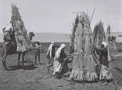 Bédouins près du lac Houla - Photo 1946