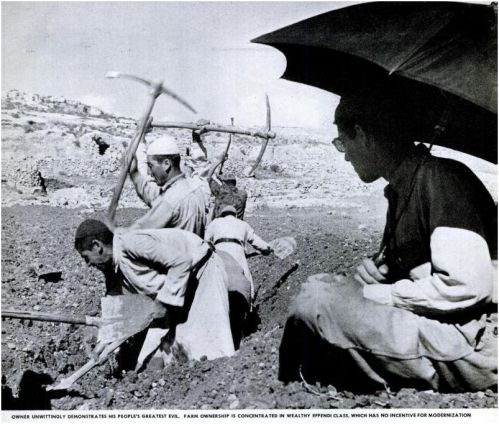Féodalisme persistant et refus de la modernisation agricole : le constat de la revue Life (4 nov. 1946) à propos de la Palestine des grands propriétaires terriens arabes