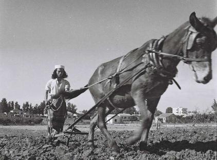 Paysan juif yéménite Habani - Photo avril 1946